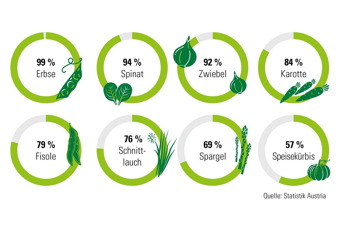 Ein Blick in die Gemüselade Niederösterreichs,mit Ernte folgender Produkte in Prozent: Tiefkühlgemüse aus Marchfeld, Tonnen Erbsen, Spinat, Zwiebel, Karotte, Fisole, Schnittlauch, Spargel, Speisekürbis, Gartenbaubetriebe, Angebotsvielfalt, Vielfalt, Baumschule, Zierpflanzen, Blumen, Forstwirtschaft