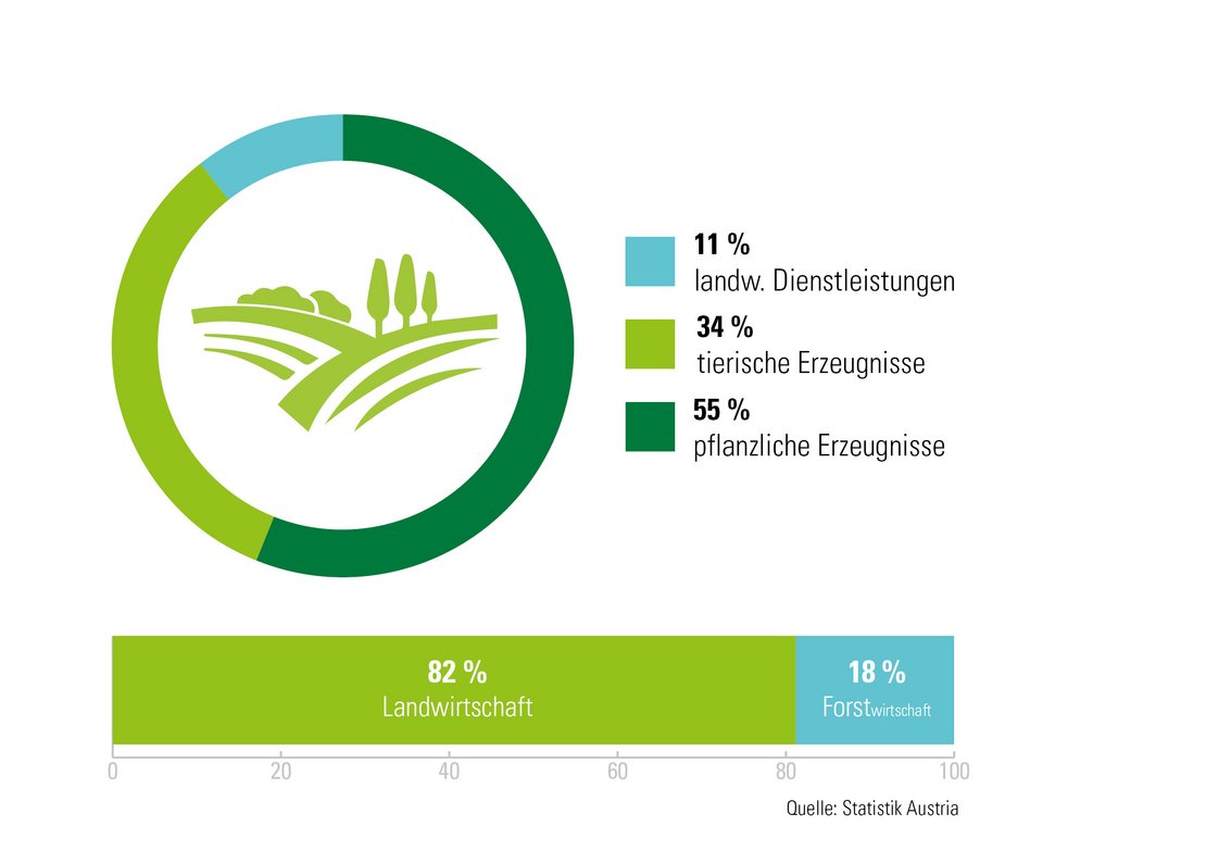 Infografik zu Wirtschaftsfaktoren in Niederösterreich