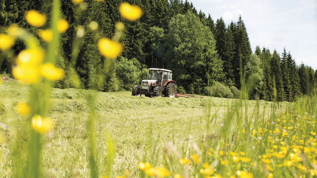 Traktor bei Grünlandmahd