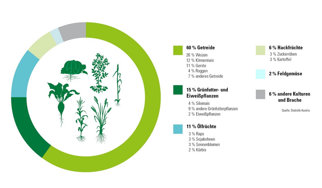 Infografik zu Was unsere Bäuerinnen und Bauern anbauen