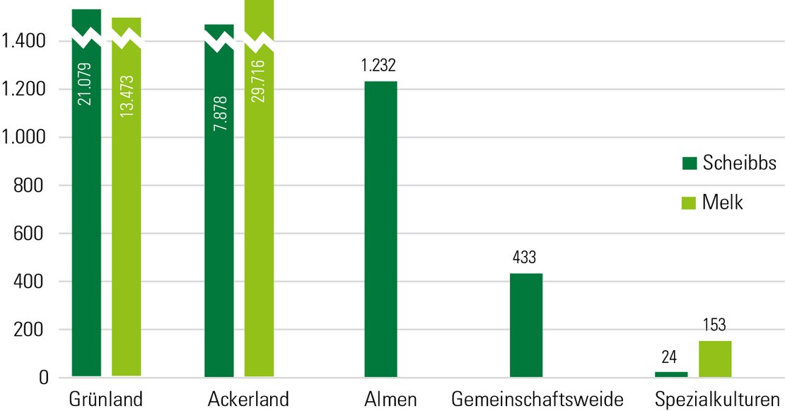 Grafik Flächenstruktur