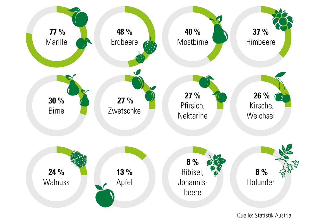 Infografik zu Ein Blick in die Obstschale Niederösterreichs