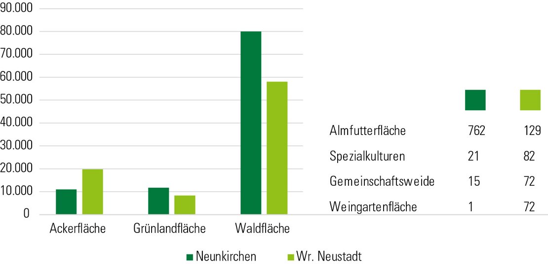 Grafik Flächenstruktur