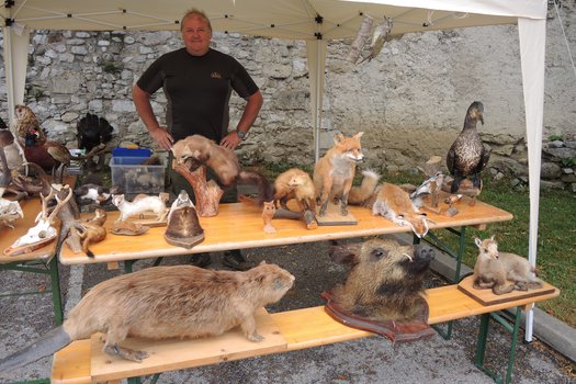 Bezirksfest Scheibbs