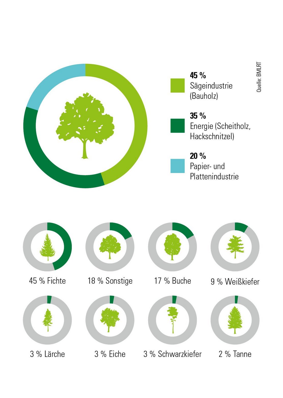 Die Forstwirtschaft und Christbaumkultur in Niederösterreich
