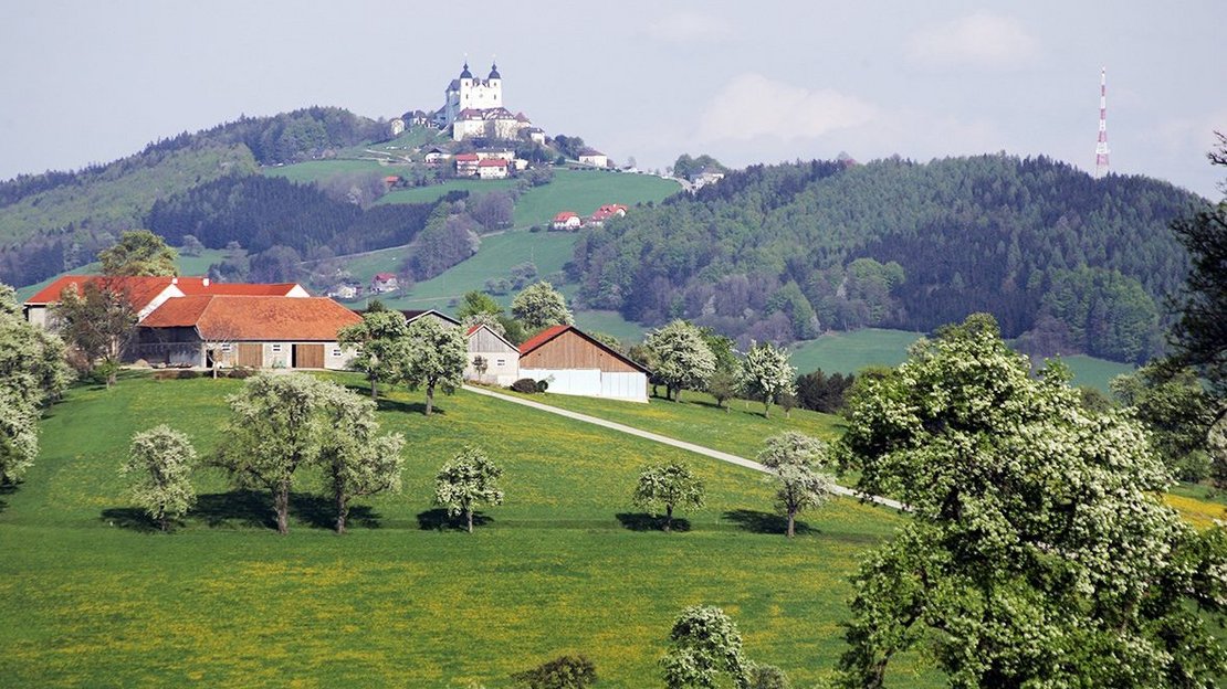 Landschaftsfoto mit Sonntagberg im Hintergrund