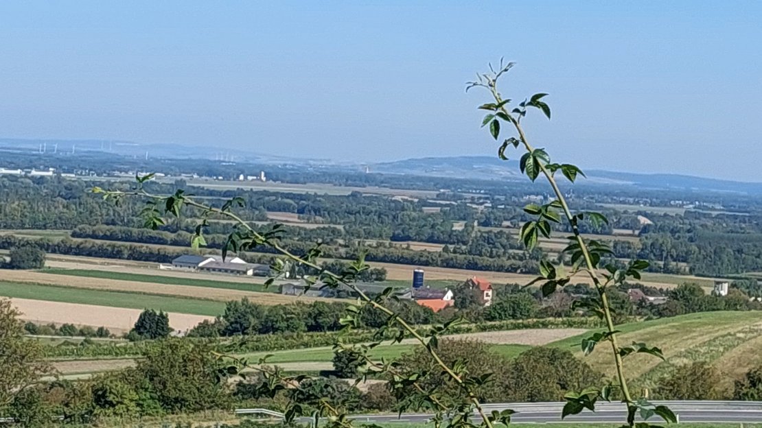 Landschaft Tullnerfeld