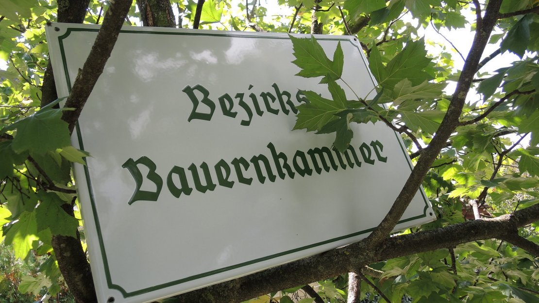 Elsbeere mit Schild Bezirksbauernkammer