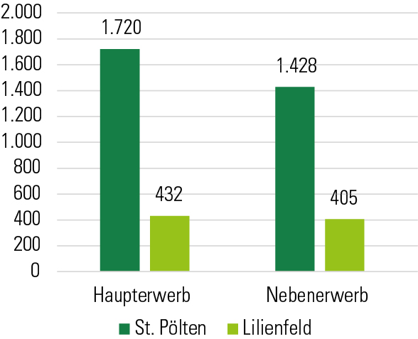 Grafik Betriebe nach Erwerbsart